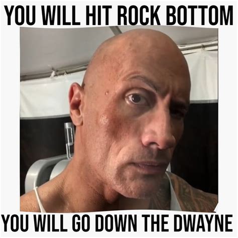 the rock memes|the rock wallpaper meme.